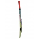 HRS 100 Up Kashmir Willow Cricket Bat